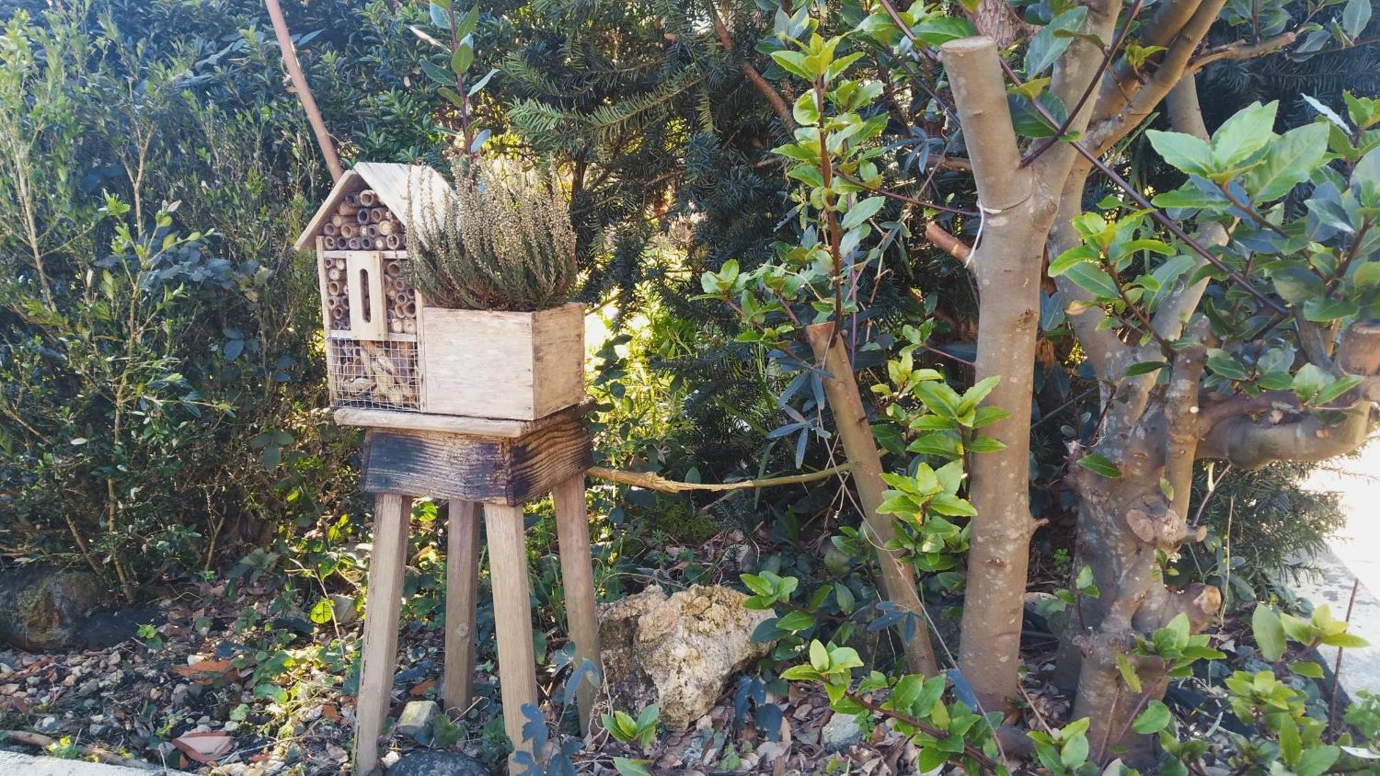 הוילה אורנסה Casa Iriana - Parking Gratis I Jardin I Barbacoa מראה חיצוני תמונה