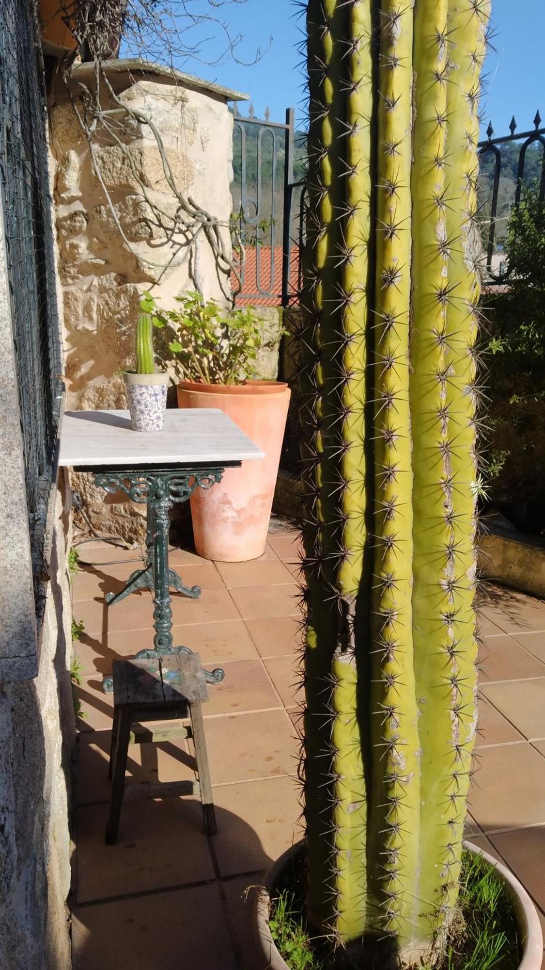 הוילה אורנסה Casa Iriana - Parking Gratis I Jardin I Barbacoa מראה חיצוני תמונה